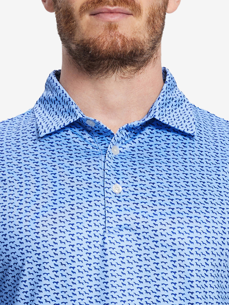MAELREG Men's Performance Jersey Print Polo – Front chest view in Bluejay Navy Dogs