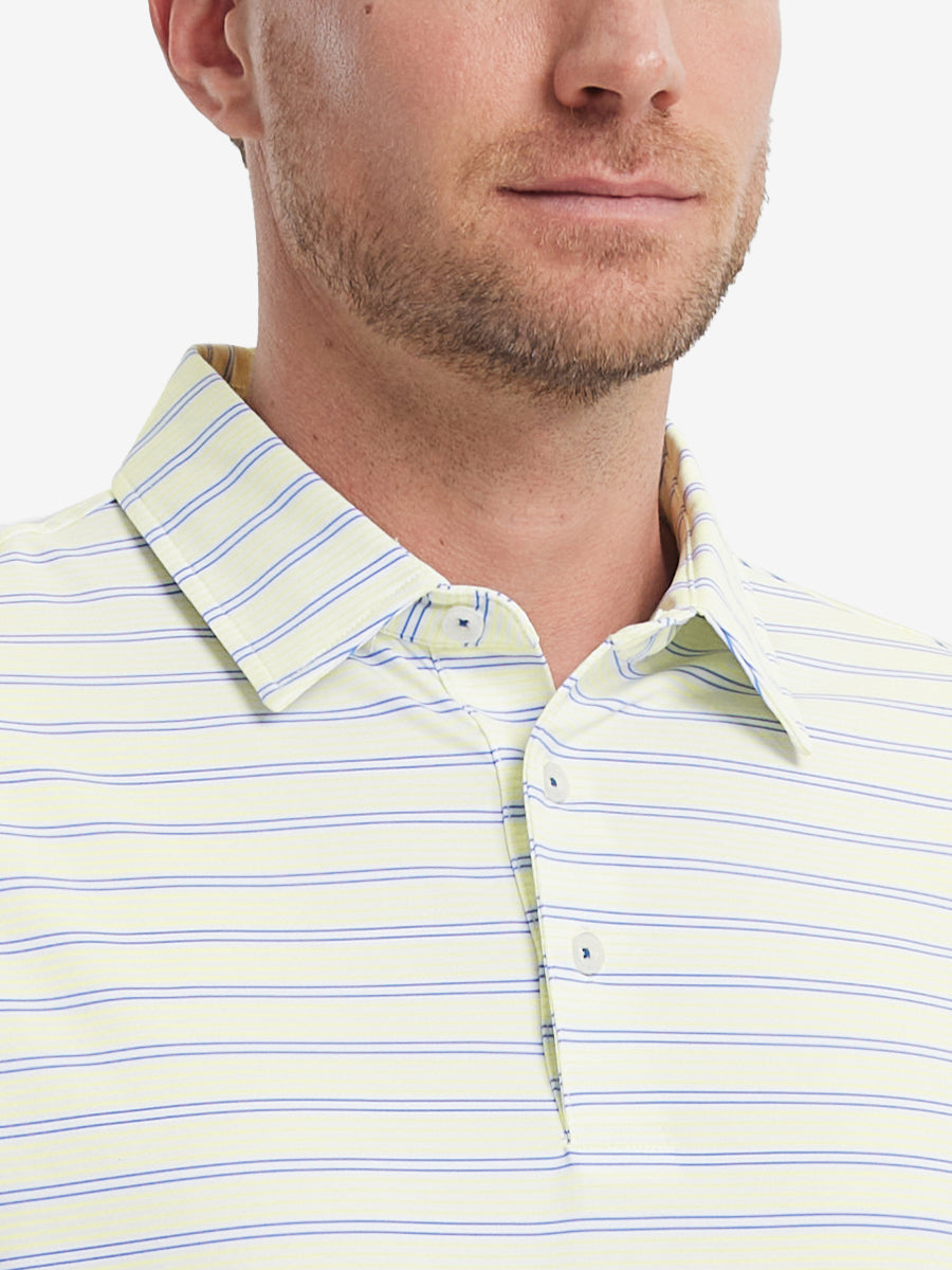 YELLOW BLUISH VIOLET STRIPE
