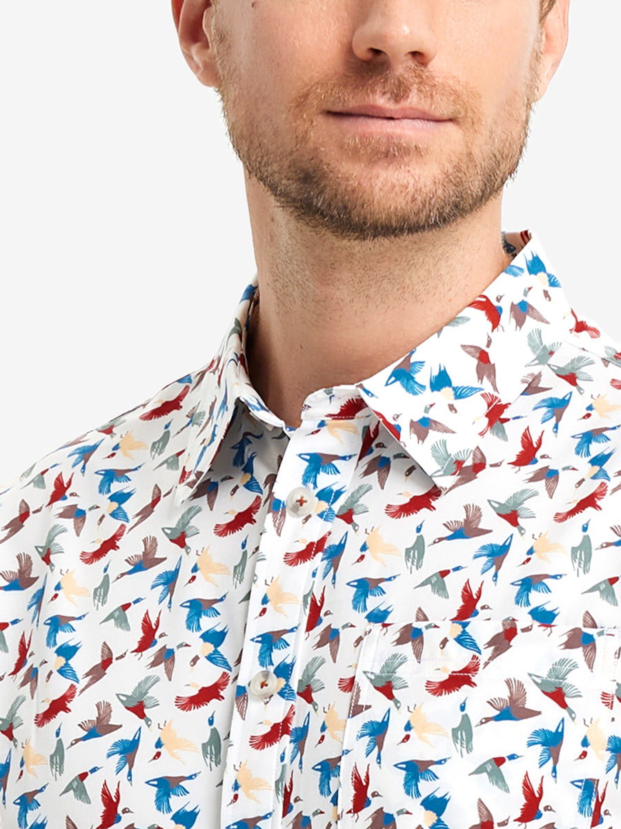 COLORFUL WILD GOOSE