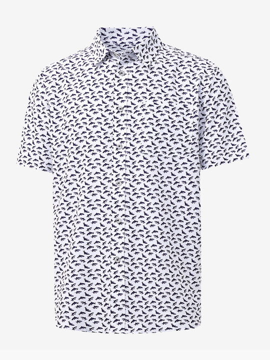 WHITE PURPLE SHARK