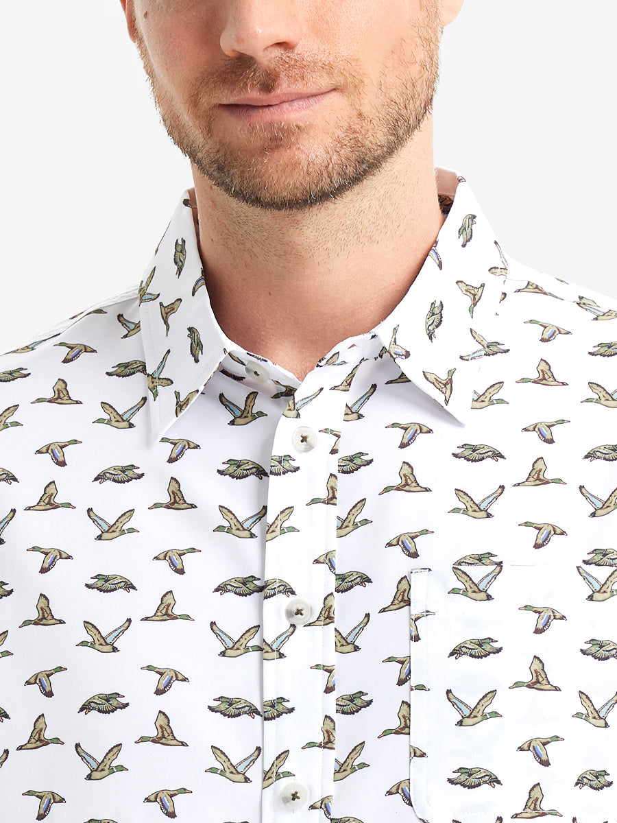 WHITE WILD GOOSE