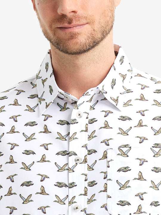WHITE WILD GOOSE